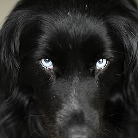 brat