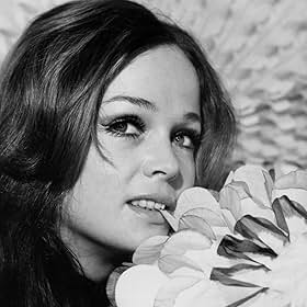 brat