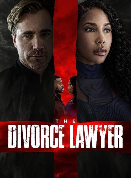 دانلود فیلم The Divorce Lawyer