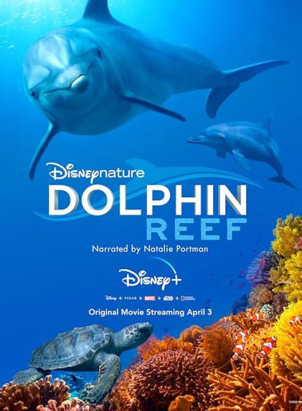 دانلود فیلم Dolphin Reef