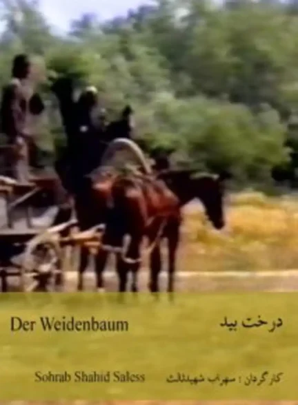 دانلود فیلم The Willow Tree