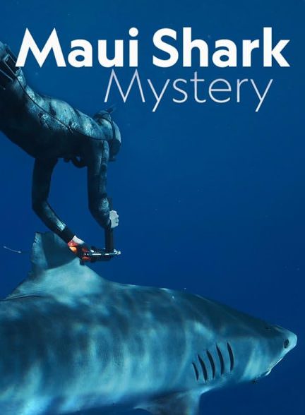 دانلود فیلم Maui Shark Mystery