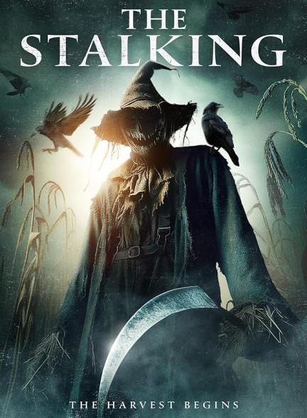 دانلود فیلم The Stalking