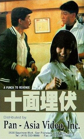 دانلود فیلم A Punch to Revenge