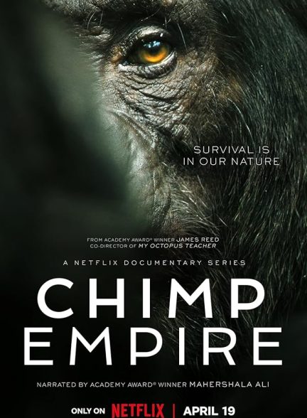 دانلود سریال Chimp Empire
