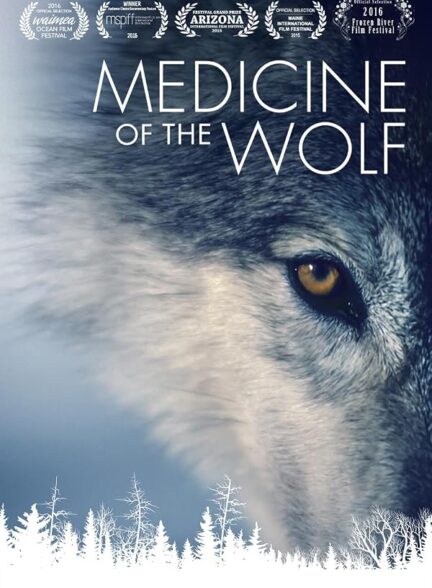دانلود فیلم Medicine of the Wolf 2015