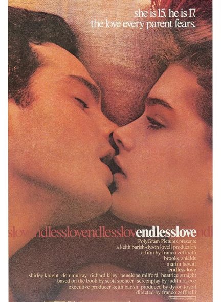 دانلود سریال Endless Love