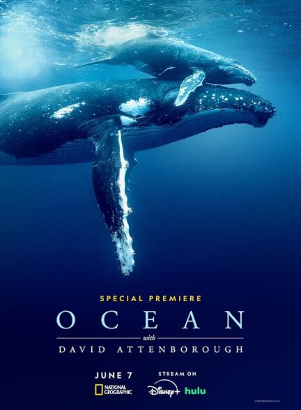 دانلود فیلم Ocean with David Attenborough 2025