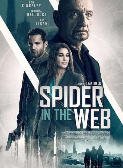 دانلود فیلم Spider in the Web 2019