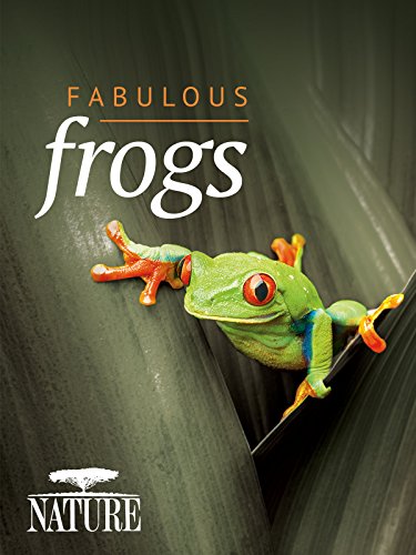 دانلود فیلم دانلود Fabulous Frogs 2014