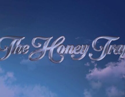 دانلود فیلم The Honey Trap 2024