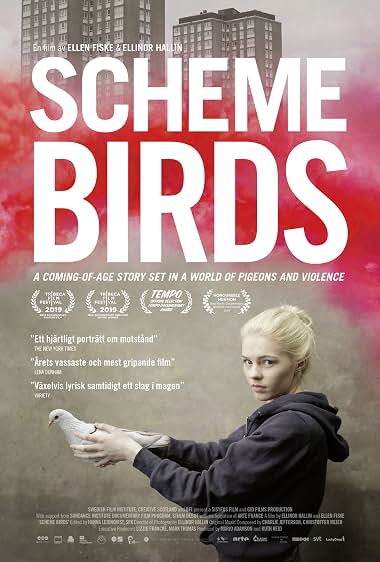 دانلود فیلم Scheme Birds 2019