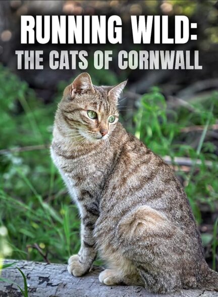 دانلود فیلم Running Wild: The Cats of Cornwall 2020