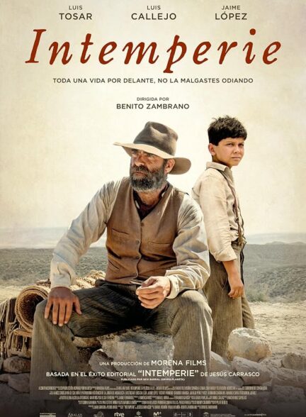 دانلود فیلم Out in the Open 2019