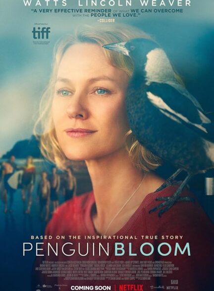 دانلود فیلم Penguin Bloom