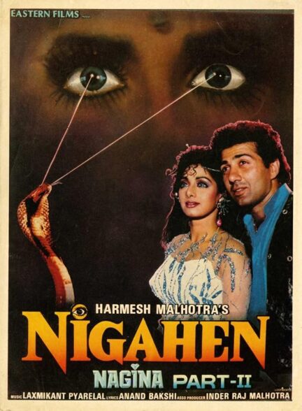 دانلود فیلم Nigahen: Nagina Part II