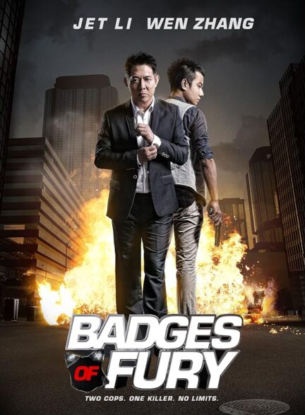 دانلود فیلم Badges of Fury 2013