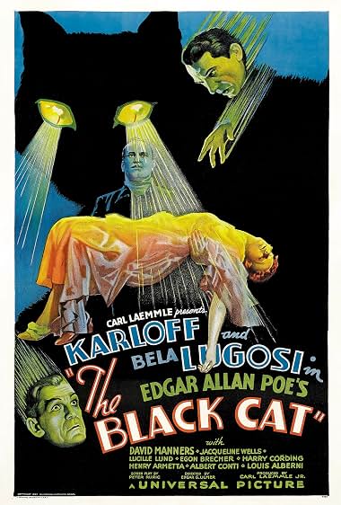 دانلود فیلم The Black Cat 1934