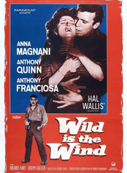 دانلود فیلم Wild Is the Wind