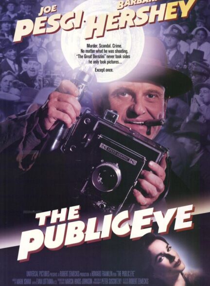 دانلود فیلم The Public Eye 1992