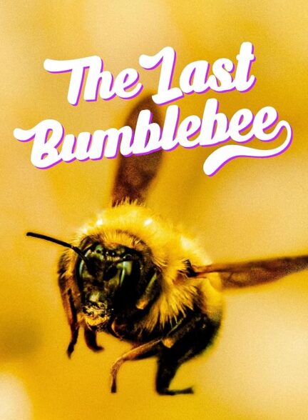 دانلود فیلم The Last Bumblebee 2024