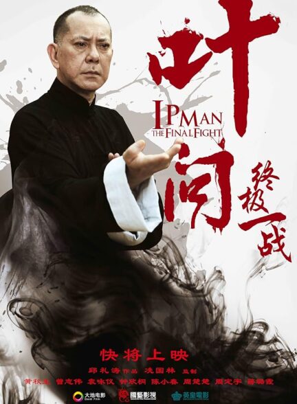 دانلود فیلم Ip Man: The Final Fight