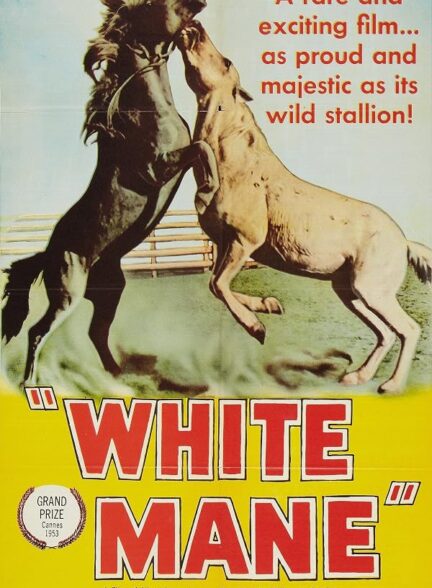 دانلود فیلم White Mane