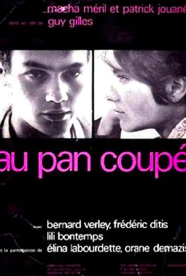 دانلود فیلم Au pan coupé 1967