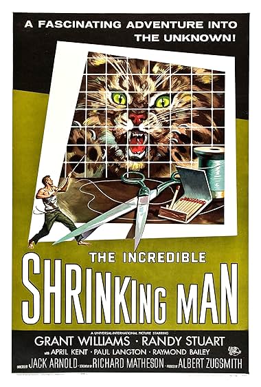 دانلود فیلم The Incredible Shrinking Man