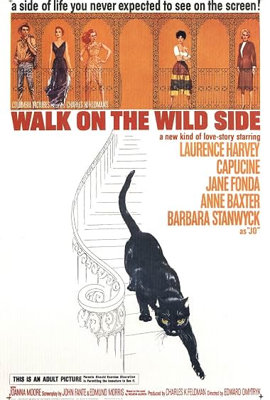 دانلود فیلم Walk on the Wild Side 1962